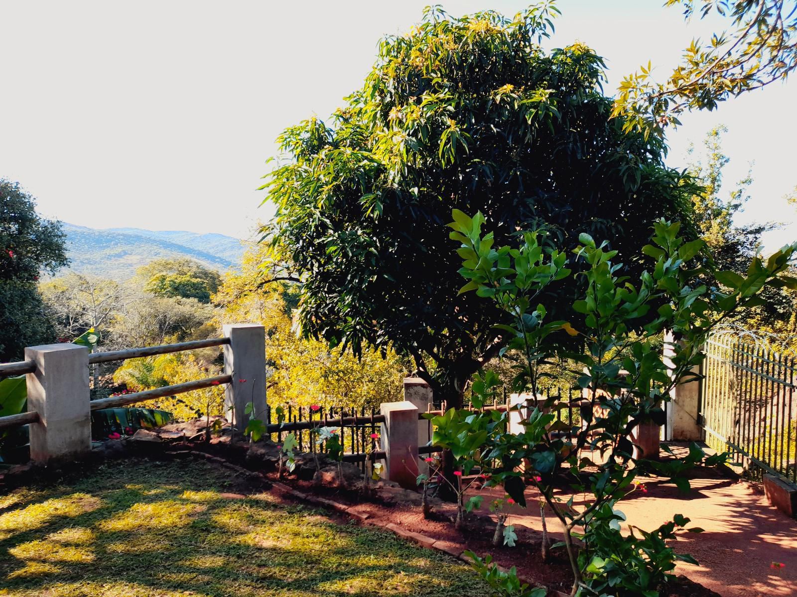 The Healing Hill Guesthouse Hazyview Mpumalanga South Africa Plant, Nature