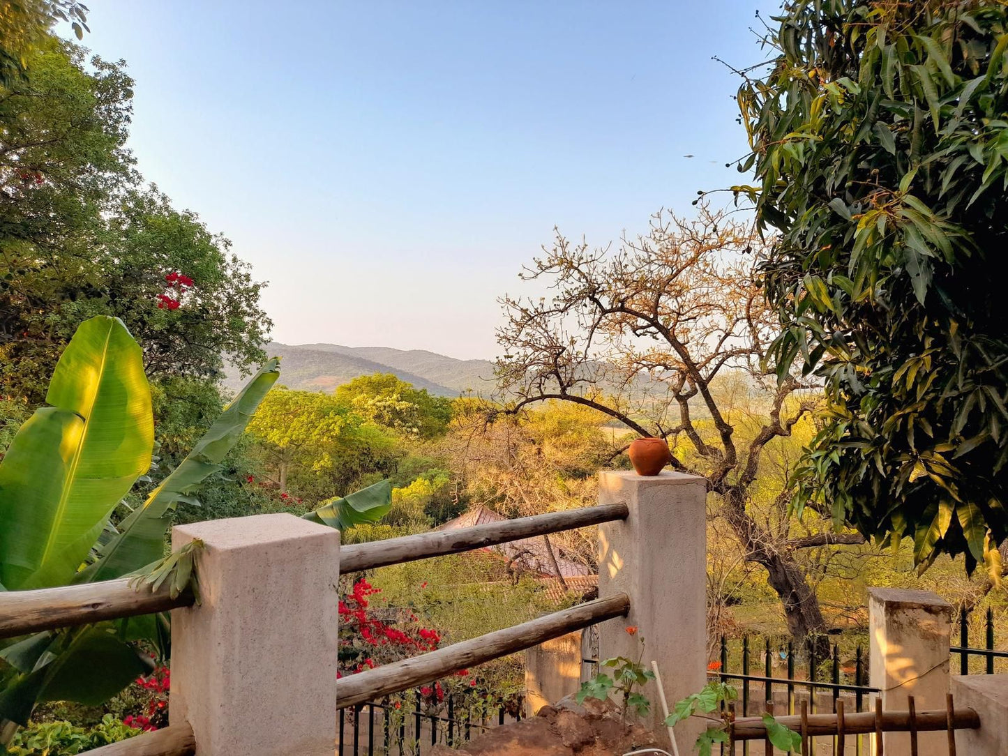The Healing Hill Guesthouse Hazyview Mpumalanga South Africa Complementary Colors, Cactus, Plant, Nature, Garden