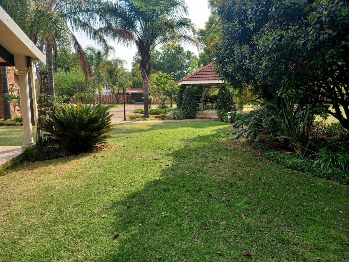 The Hills Guest House Aviary Hill Newcastle Kwazulu Natal South Africa Palm Tree, Plant, Nature, Wood, Garden