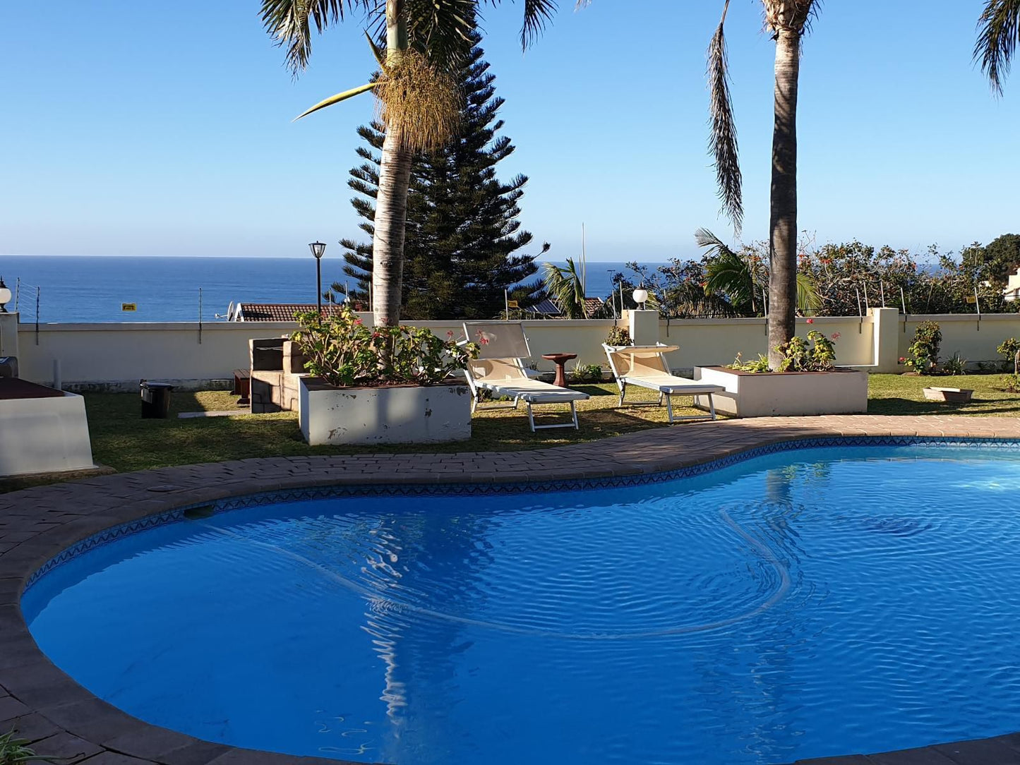 The Homestead Guest House Lawrence Rocks Margate Kwazulu Natal South Africa Beach, Nature, Sand, Palm Tree, Plant, Wood, Swimming Pool