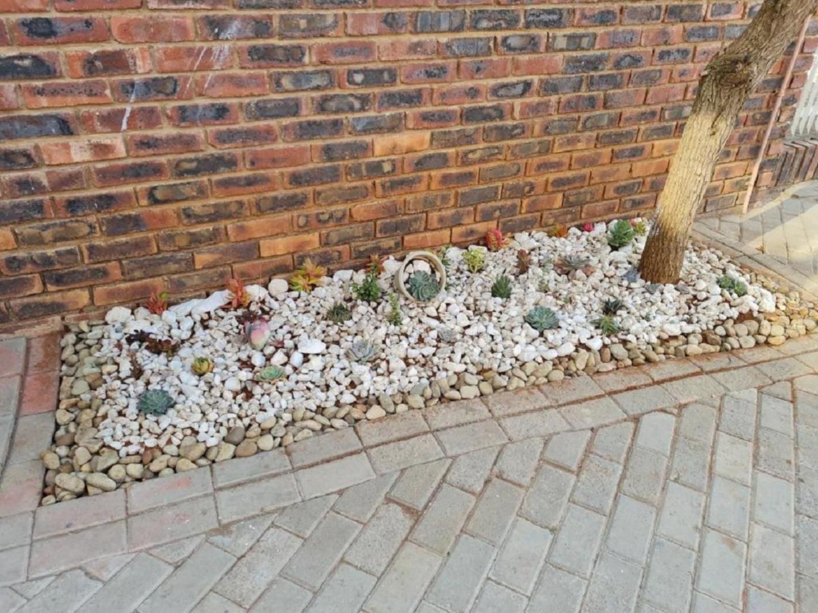 The Honeycomb, Plant, Nature, Wall, Architecture, Brick Texture, Texture