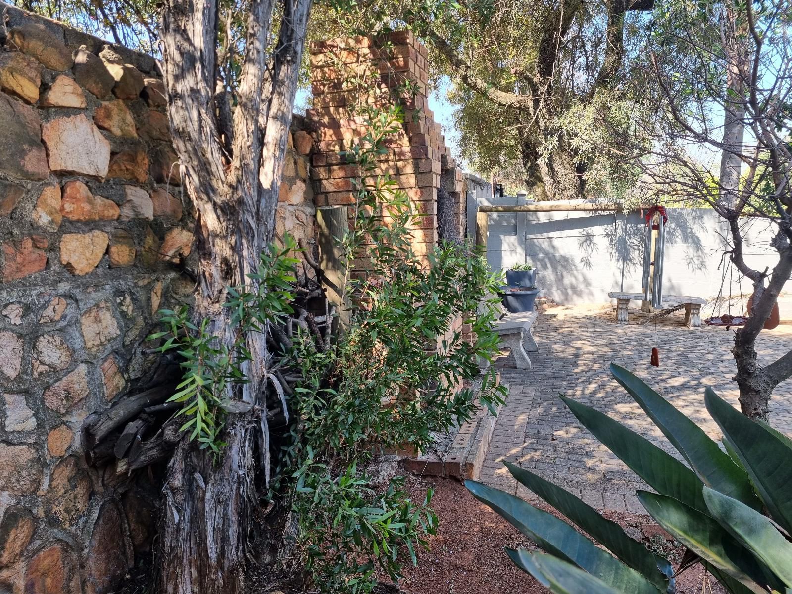 The Jewel Constantia Kloof Johannesburg Gauteng South Africa Palm Tree, Plant, Nature, Wood, Garden