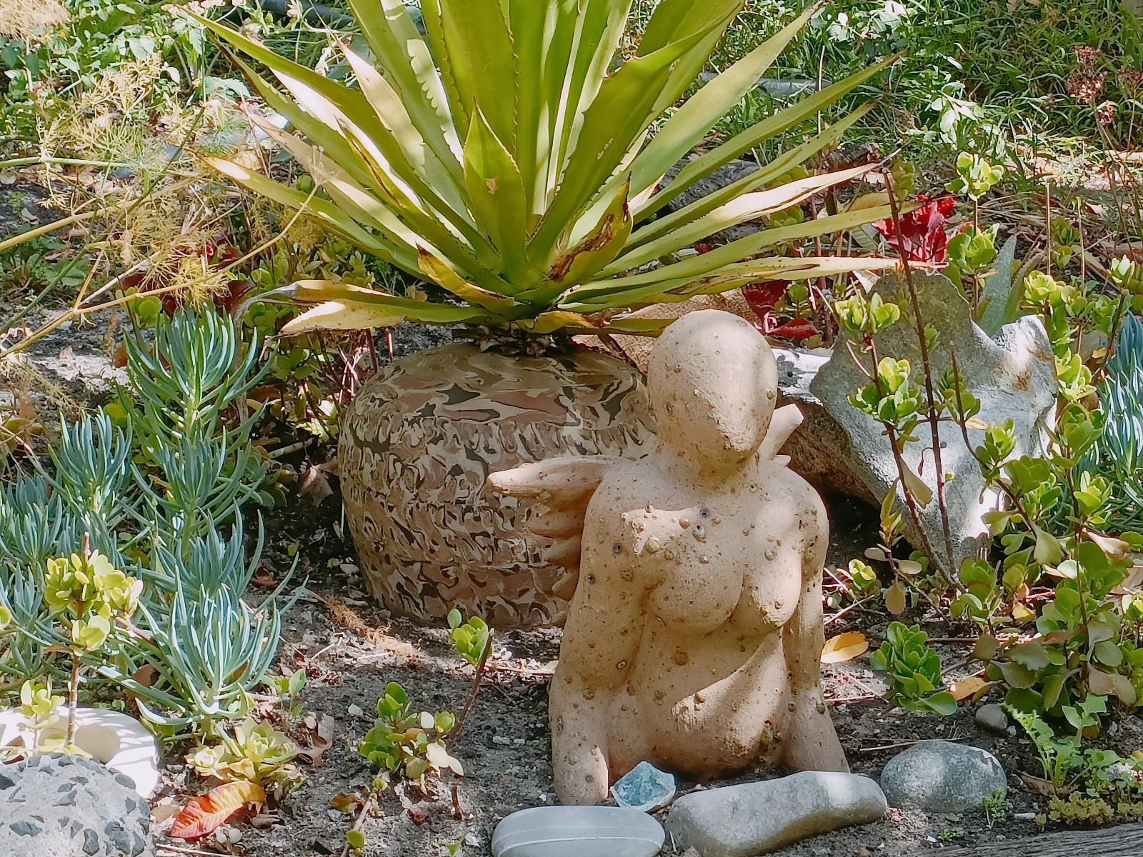 The John Bauer Pottery Studio, Plant, Nature, Garden