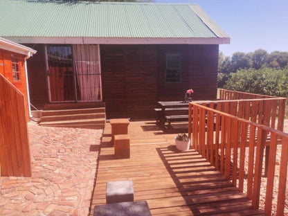 The Joint Backpackers Oudtshoorn Western Cape South Africa 