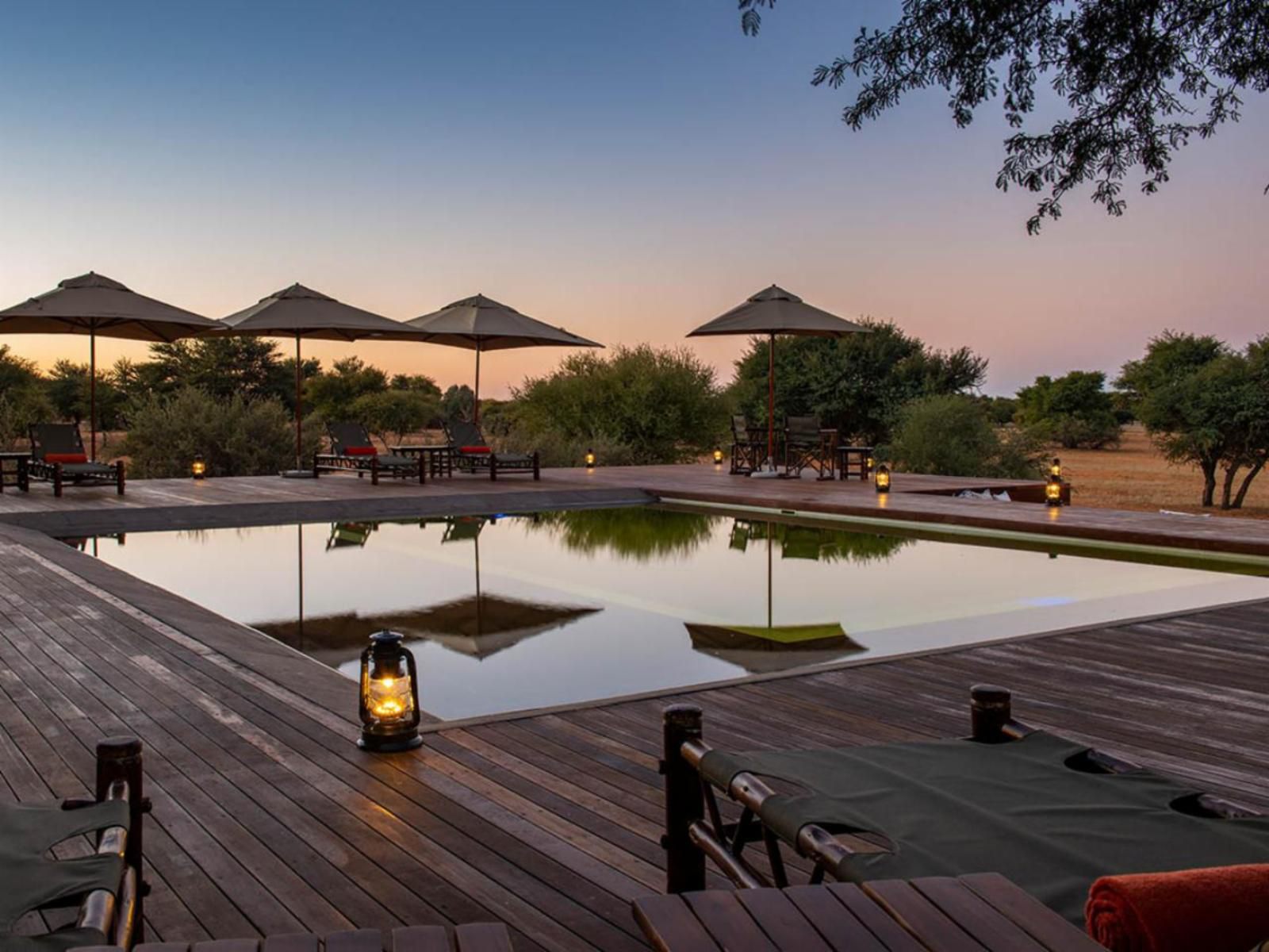 The Kalahari Sands Exclusive Safari Lodge Kuruman Northern Cape South Africa Swimming Pool