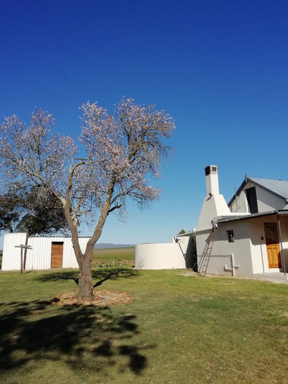 The Karsriver Cottage Bredasdorp Western Cape South Africa Complementary Colors, Barn, Building, Architecture, Agriculture, Wood