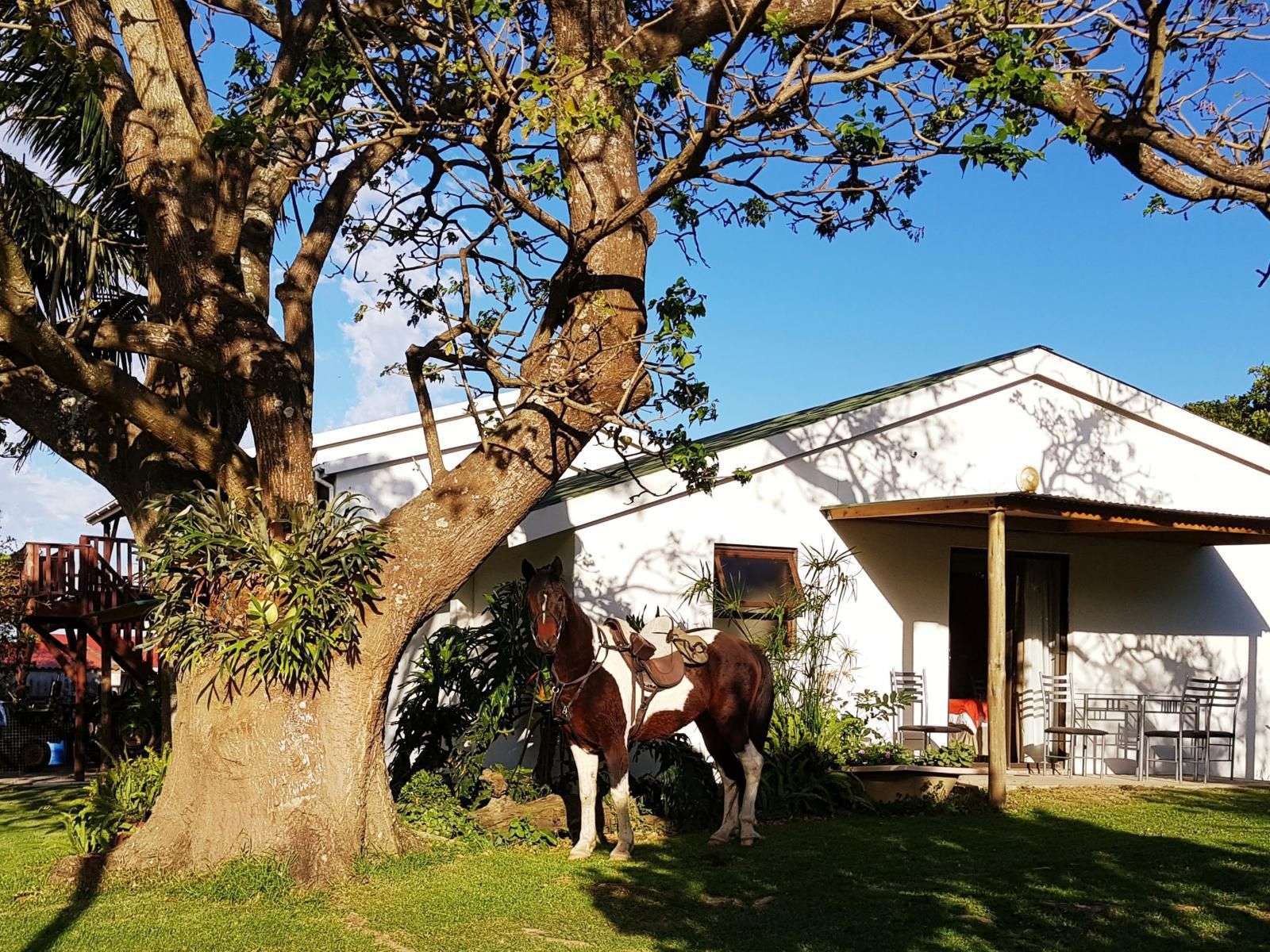 The Kei Mouth Guest Lodge Collection, House, Building, Architecture