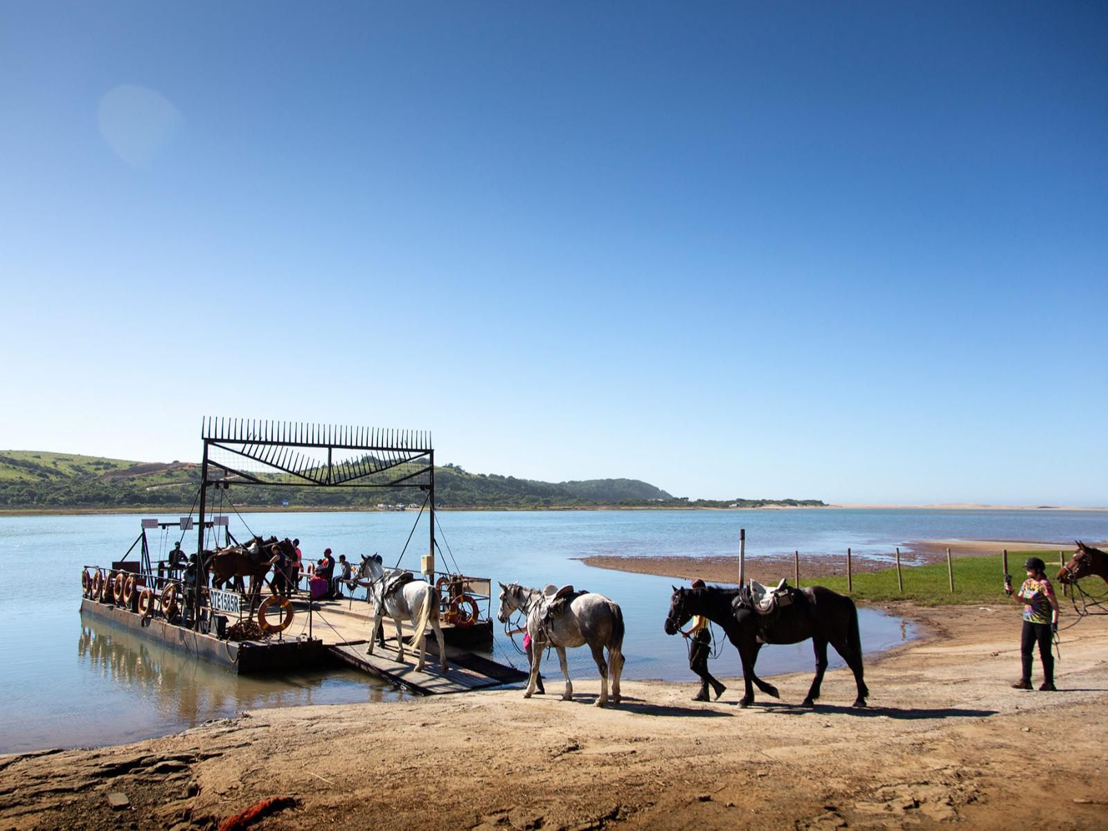 The Kei Mouth Guest Lodge Collection, Boat, Vehicle, Beach, Nature, Sand, Animal, Person