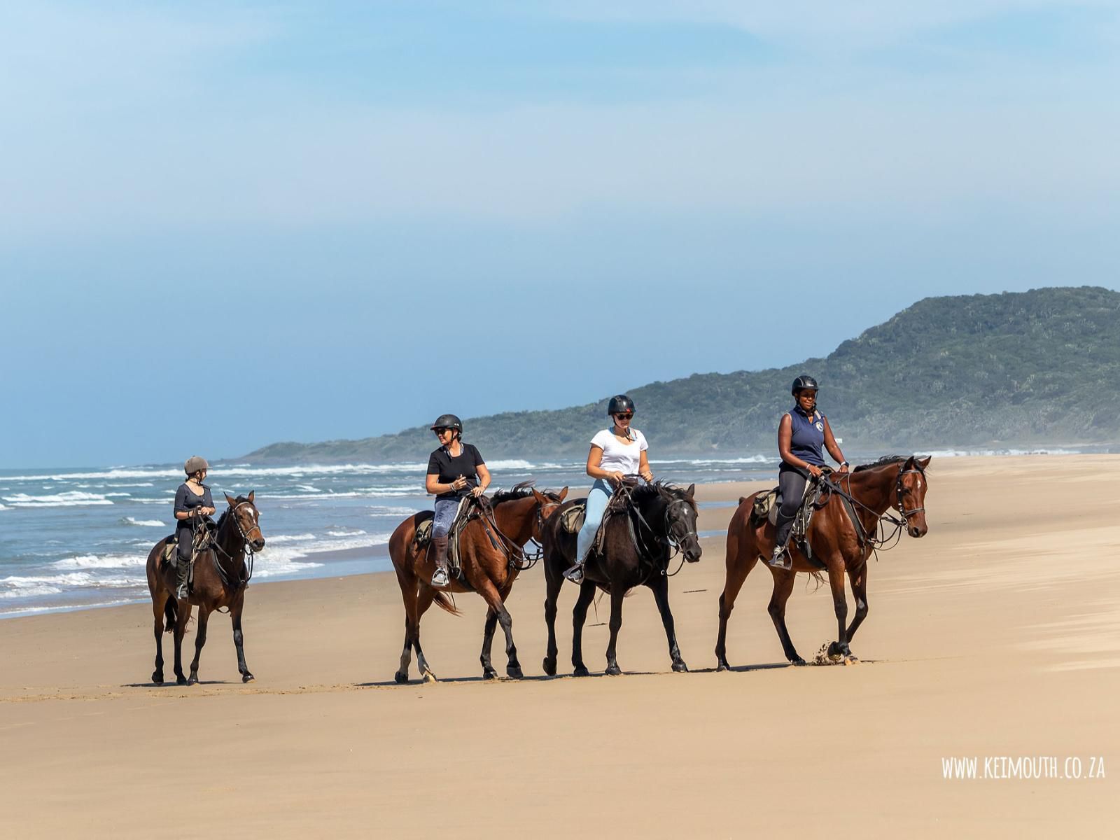 The Kei Mouth Guest Lodge Collection, Horse, Mammal, Animal, Herbivore, Beach, Nature, Sand, Person