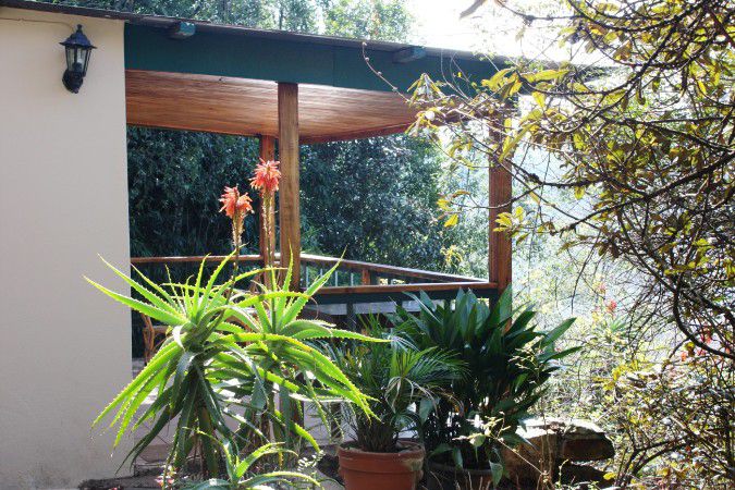 The Krantz Accommodation Sabie Mpumalanga South Africa Plant, Nature, Garden