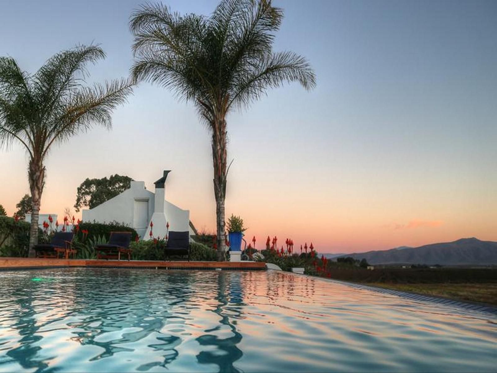 Thelab Robertson Robertson Western Cape South Africa Palm Tree, Plant, Nature, Wood, Swimming Pool