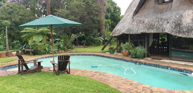 The Lapa Hillcrest Durban Kwazulu Natal South Africa Palm Tree, Plant, Nature, Wood, Garden, Swimming Pool