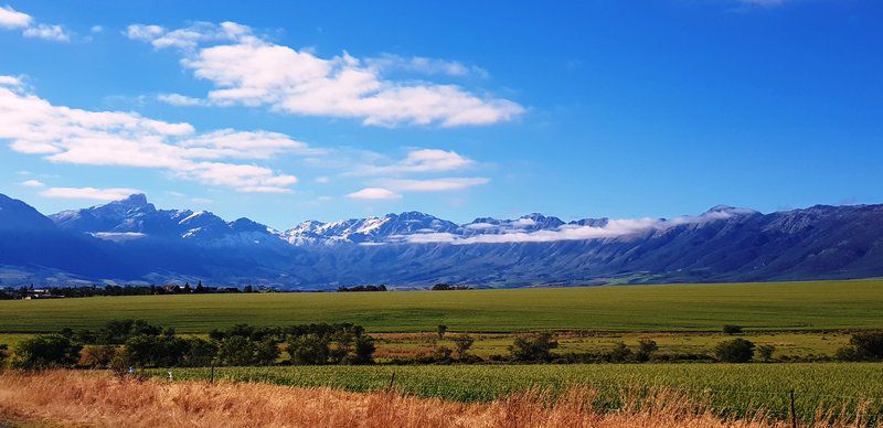 The Lark De Weiglhuys Farm Tulbagh Western Cape South Africa Complementary Colors, Colorful, Lowland, Nature