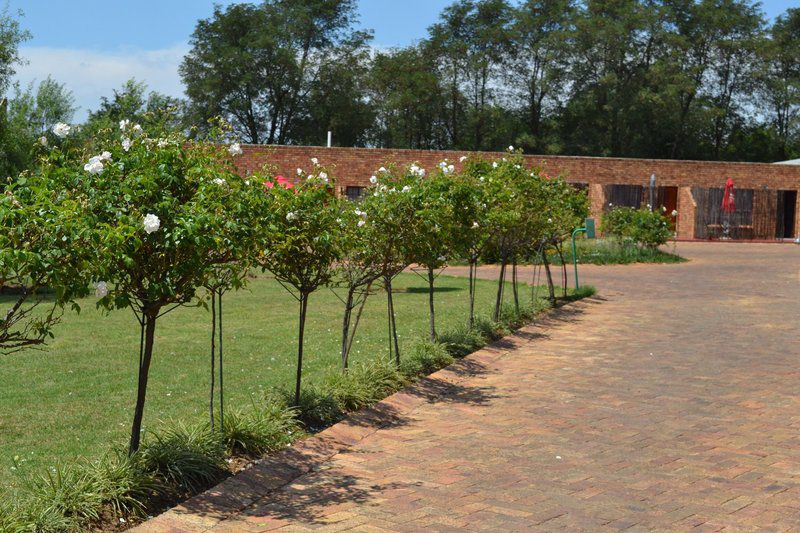 The Lazy Grape Guest Lodge And Spa Benoni North Johannesburg Gauteng South Africa Plant, Nature, Garden