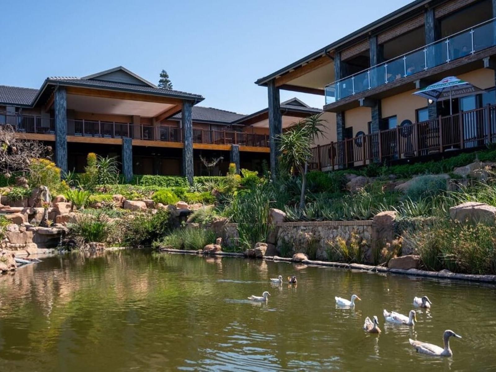 The Lazy Moose Restaurant And Lodge Palmcliffe Kwazulu Natal South Africa Complementary Colors, Swimming Pool