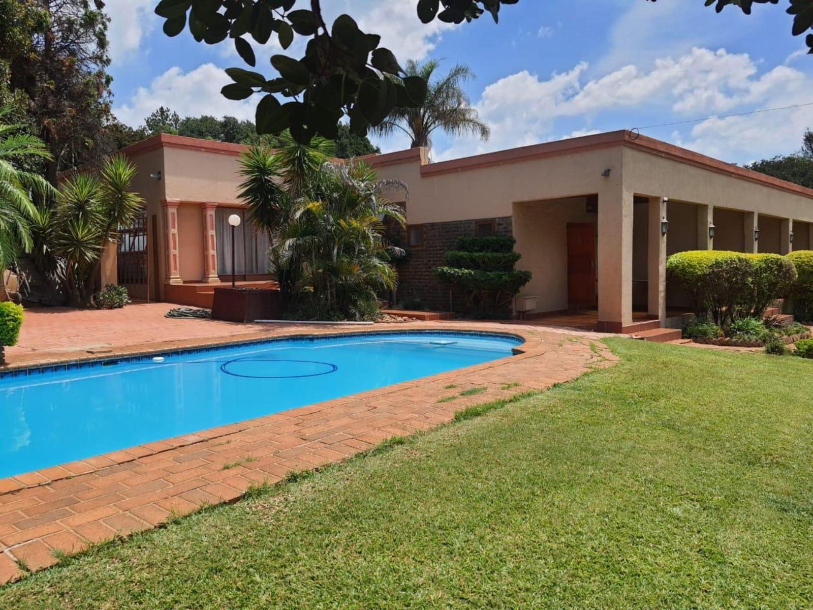 The Lion Fish Guest House Meyers Park Pretoria Tshwane Gauteng South Africa Complementary Colors, House, Building, Architecture, Palm Tree, Plant, Nature, Wood, Swimming Pool