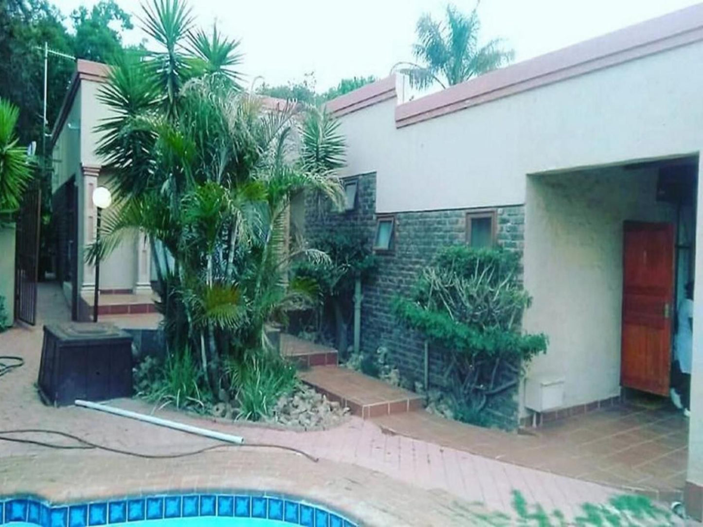 The Lion Fish Guest House Meyers Park Pretoria Tshwane Gauteng South Africa House, Building, Architecture, Palm Tree, Plant, Nature, Wood, Garden, Swimming Pool