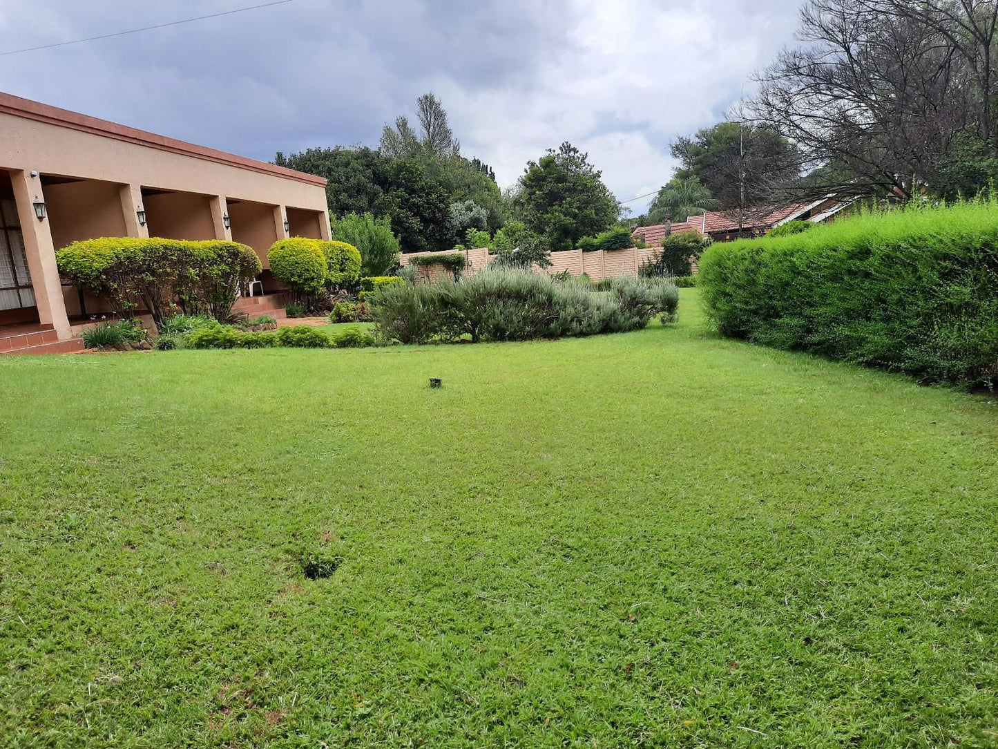 The Lion Fish Guest House Meyers Park Pretoria Tshwane Gauteng South Africa House, Building, Architecture, Plant, Nature, Garden