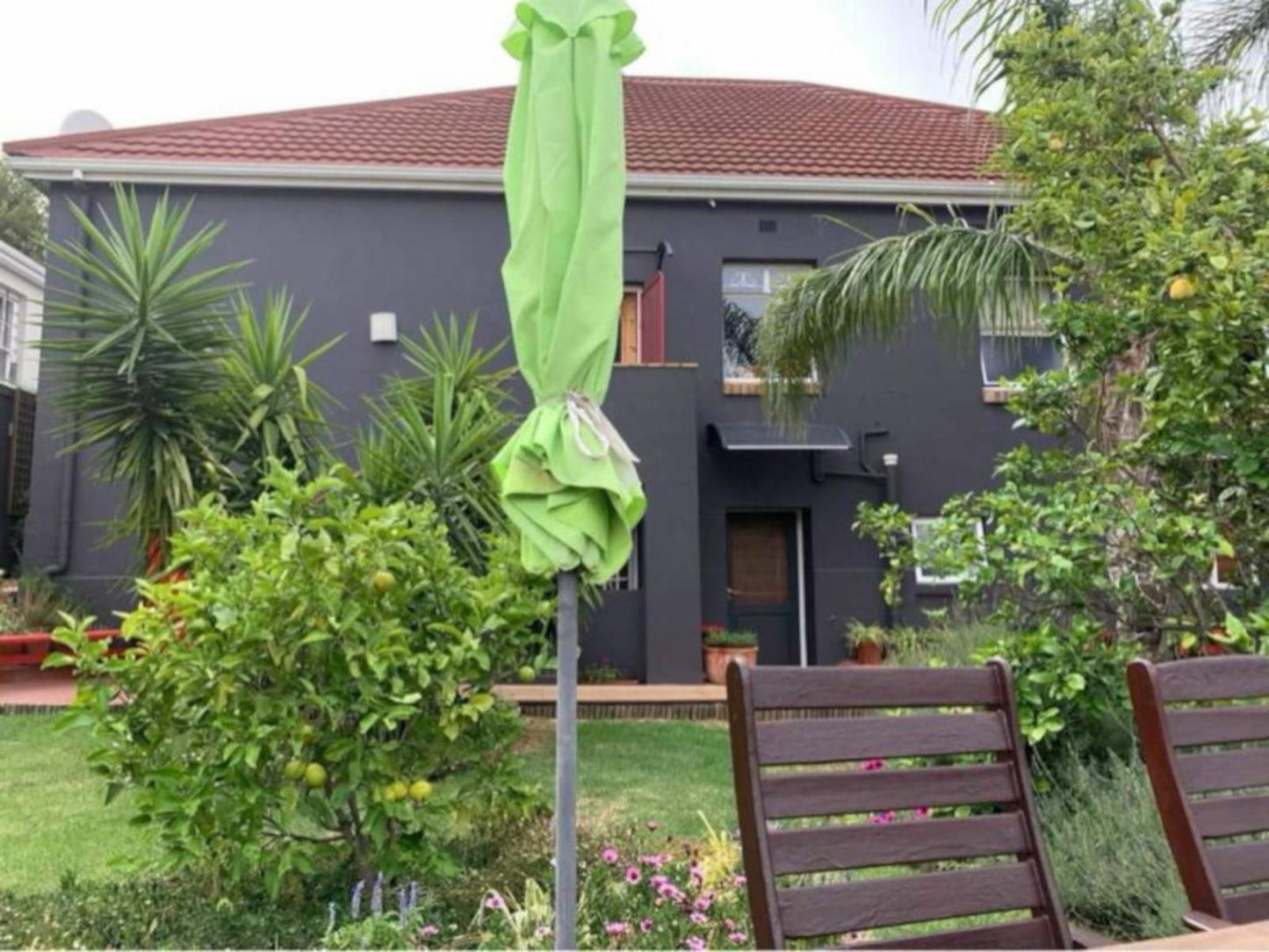 The Lions Guesthouse Tamboerskloof Cape Town Western Cape South Africa House, Building, Architecture, Palm Tree, Plant, Nature, Wood, Garden