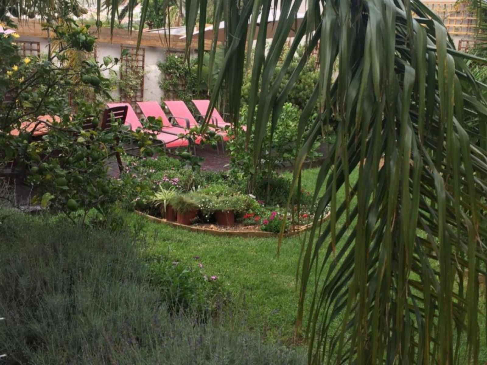 The Lions Guesthouse Tamboerskloof Cape Town Western Cape South Africa Palm Tree, Plant, Nature, Wood, Garden
