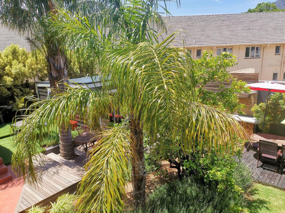 The Lions Guesthouse Tamboerskloof Cape Town Western Cape South Africa Palm Tree, Plant, Nature, Wood, Garden