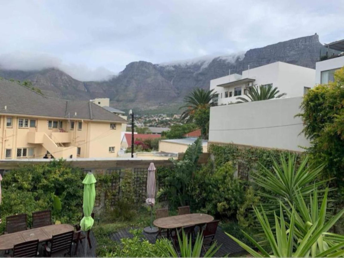 The Lions Guesthouse Tamboerskloof Cape Town Western Cape South Africa Complementary Colors, House, Building, Architecture, Palm Tree, Plant, Nature, Wood