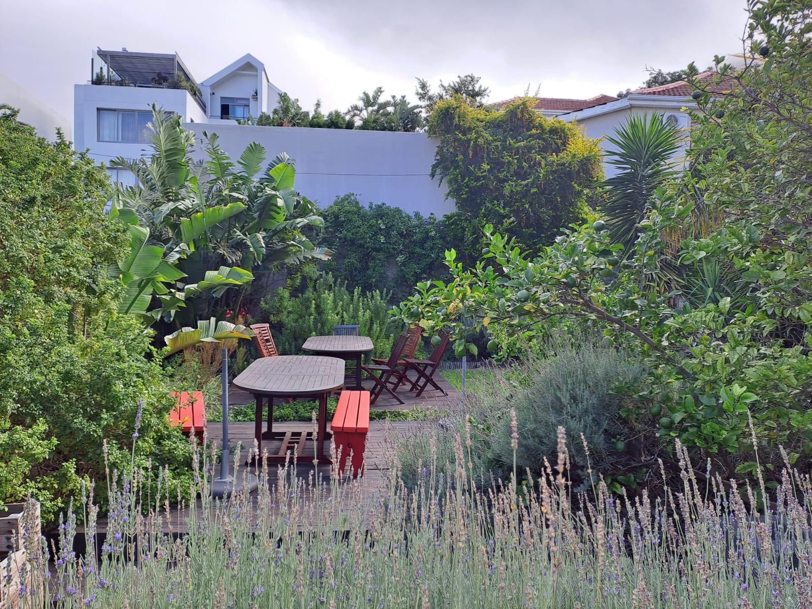 The Lions Guesthouse Tamboerskloof Cape Town Western Cape South Africa Complementary Colors, Garden, Nature, Plant