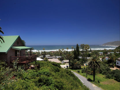 The Loerie'S View, Beach, Nature, Sand, Palm Tree, Plant, Wood