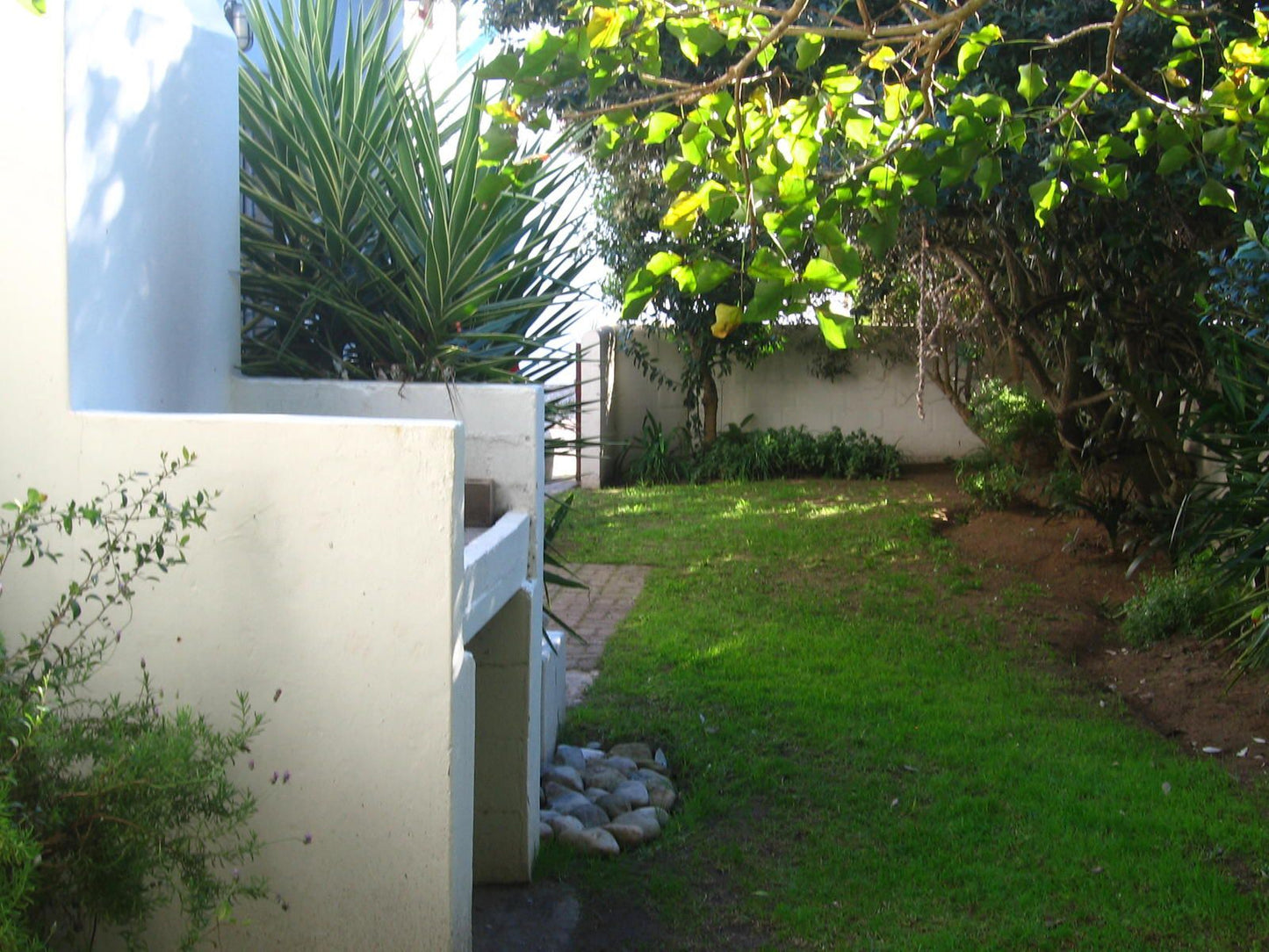 The Loft House Club Mykonos Langebaan Western Cape South Africa Palm Tree, Plant, Nature, Wood, Garden