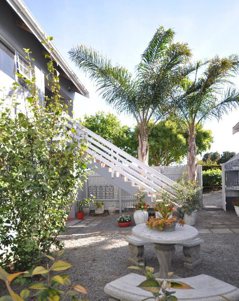 The Loft On Lambert Port Alfred Eastern Cape South Africa House, Building, Architecture, Palm Tree, Plant, Nature, Wood, Garden