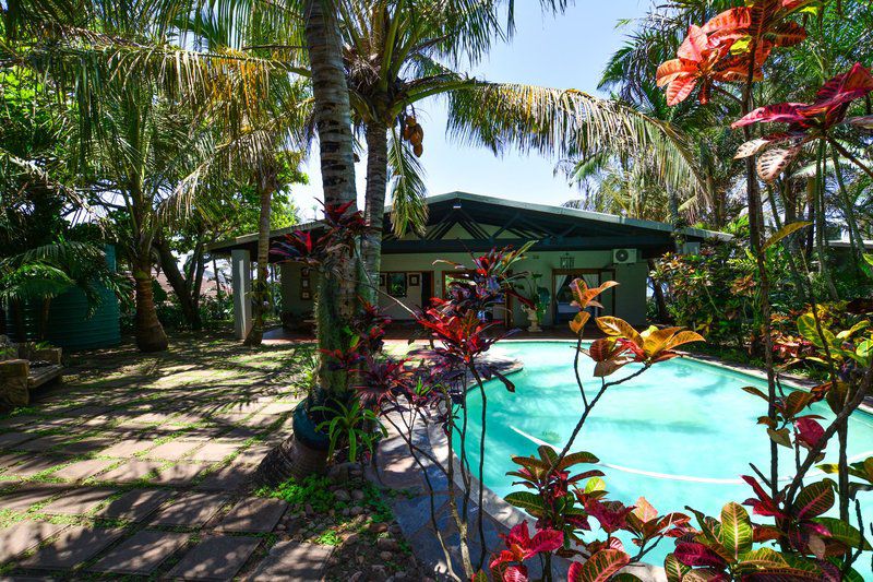 The Lookout Blythedale Beach Kwazulu Natal South Africa Palm Tree, Plant, Nature, Wood, Swimming Pool