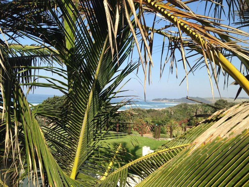 The Lookout Blythedale Beach Kwazulu Natal South Africa Beach, Nature, Sand, Palm Tree, Plant, Wood