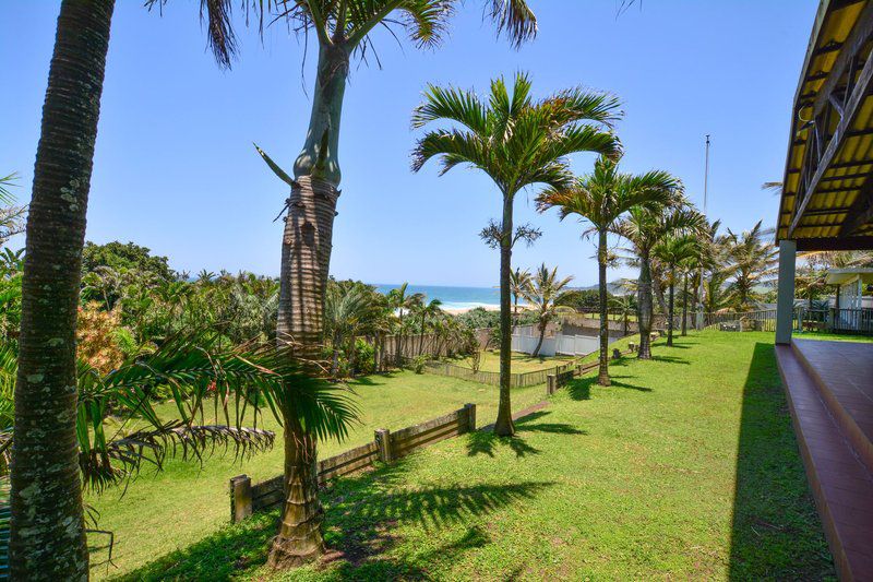 The Lookout Blythedale Beach Kwazulu Natal South Africa Complementary Colors, Beach, Nature, Sand, Palm Tree, Plant, Wood