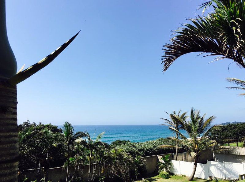 The Lookout Blythedale Beach Kwazulu Natal South Africa Beach, Nature, Sand, Palm Tree, Plant, Wood