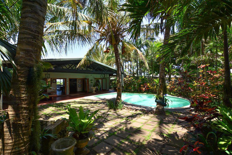 The Lookout Blythedale Beach Kwazulu Natal South Africa Beach, Nature, Sand, Palm Tree, Plant, Wood, Swimming Pool