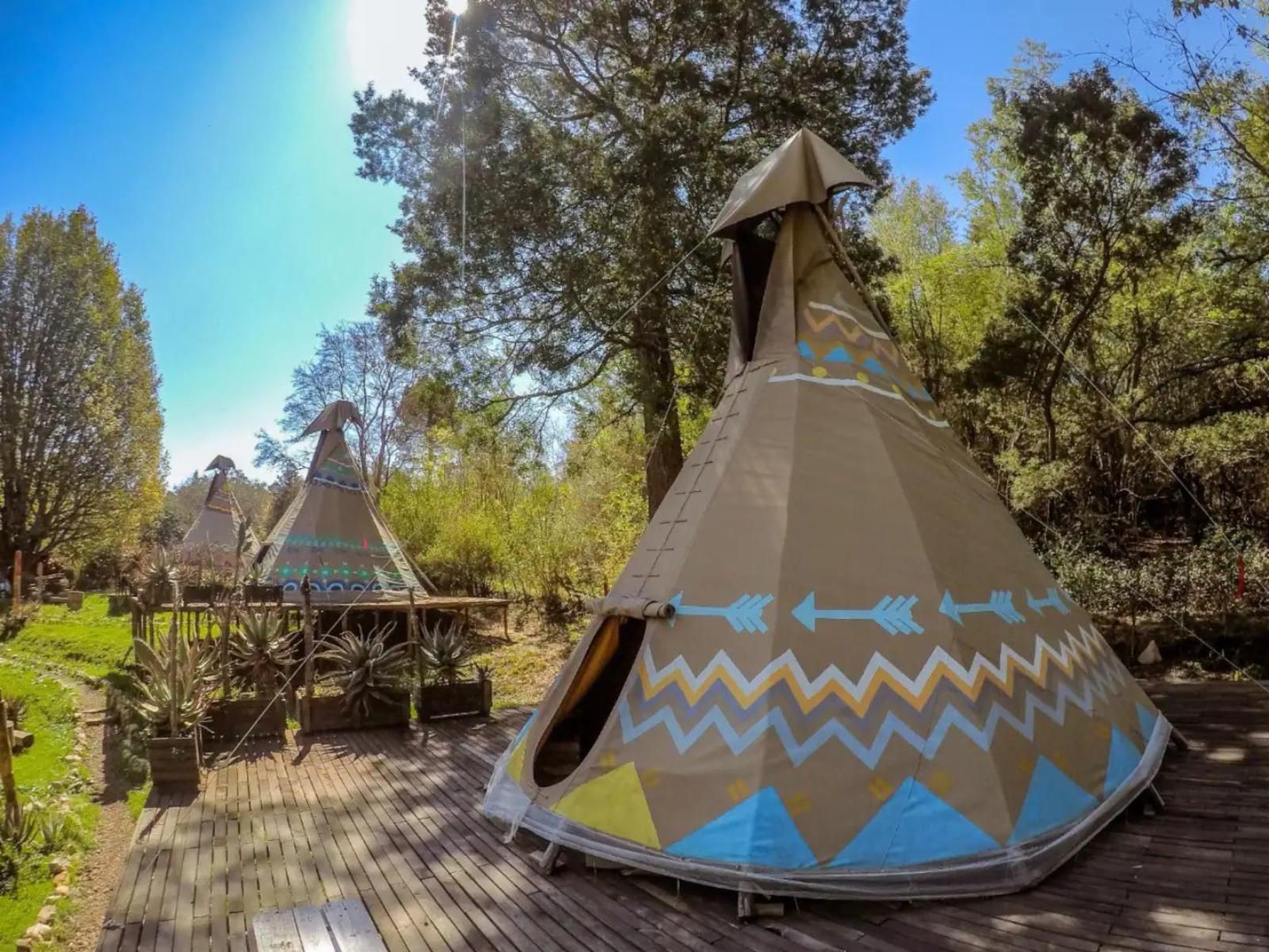 The Magical Teepee Experience Hogsback Eastern Cape South Africa Complementary Colors