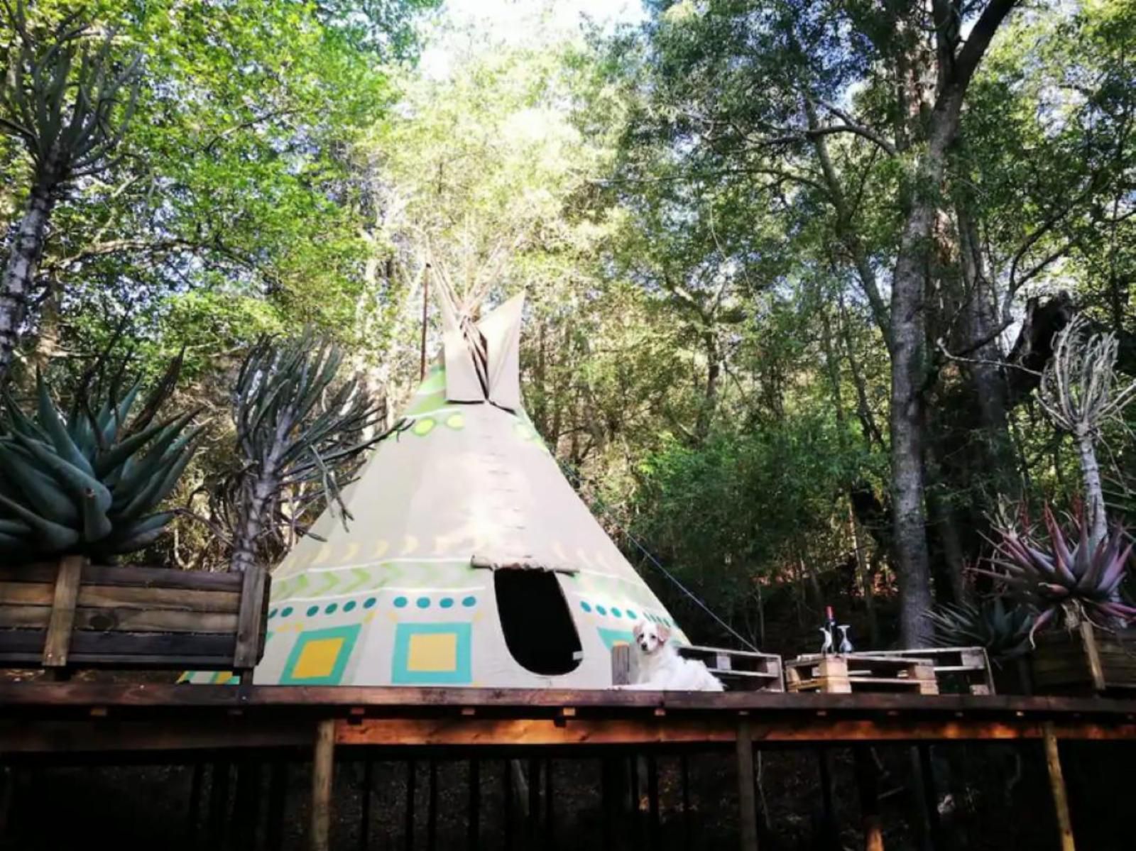 The Magical Teepee Experience Hogsback Eastern Cape South Africa 