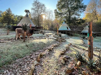 The Magical Teepee Experience Hogsback Eastern Cape South Africa 