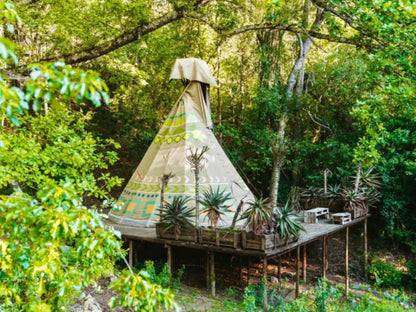 The Magical Teepee Experience Hogsback Eastern Cape South Africa 