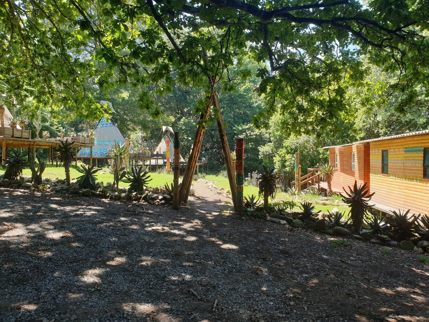 The Magical Teepee Experience Hogsback Eastern Cape South Africa Plant, Nature, Garden