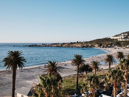 The Marly Boutique Hotel Camps Bay Cape Town Western Cape South Africa Beach, Nature, Sand, Palm Tree, Plant, Wood