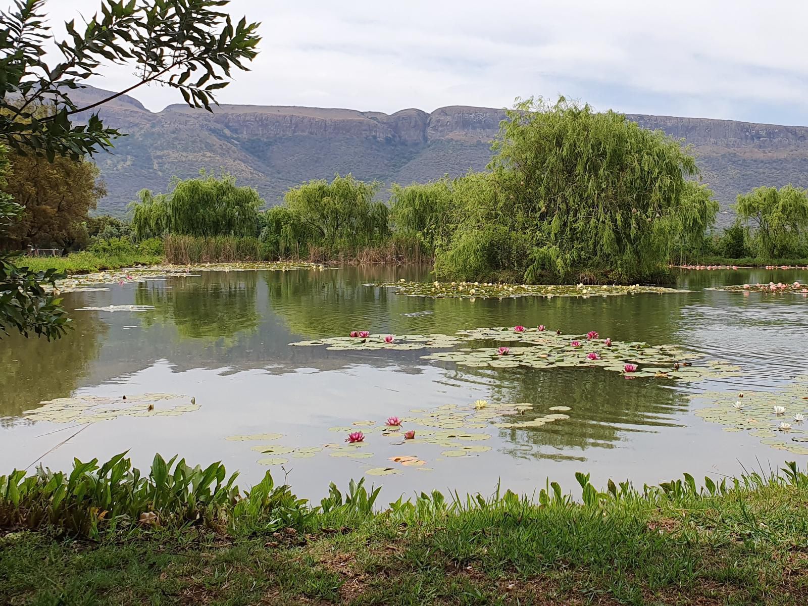 The Meadows At Millstream, Lake, Nature, Waters