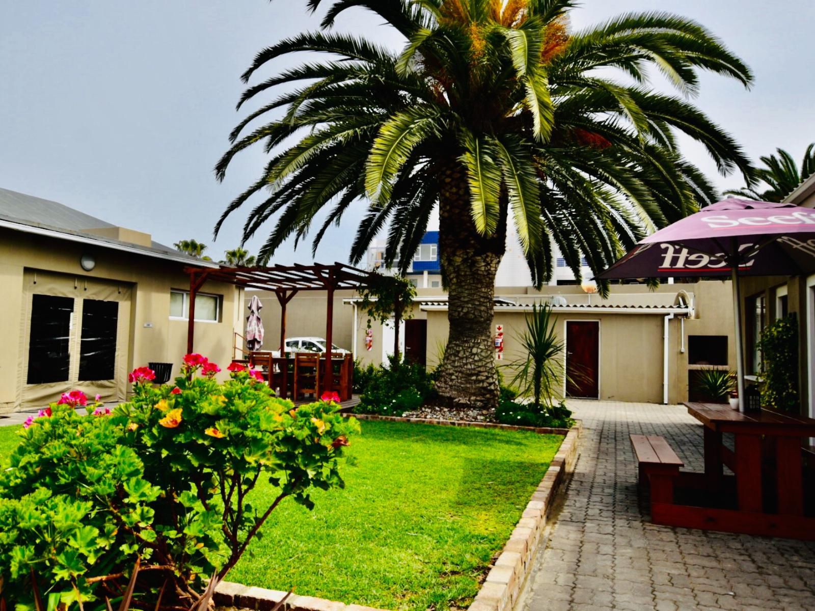 The Mole Guesthouse, House, Building, Architecture, Palm Tree, Plant, Nature, Wood