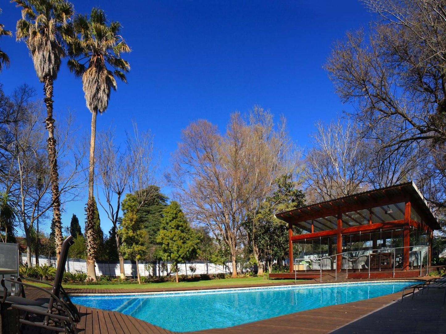 The Oak Potch Guesthouse Die Bult Potchefstroom North West Province South Africa Palm Tree, Plant, Nature, Wood, Swimming Pool