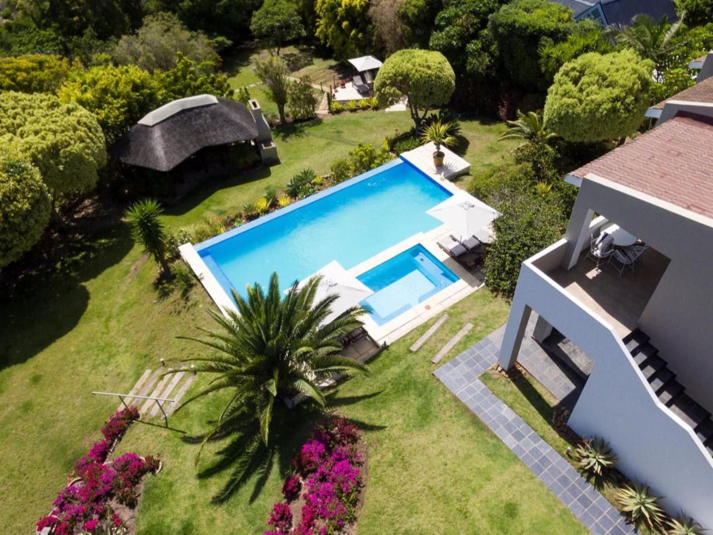 The Ocean Bay Luxury Guesthouse Wavescrest Jeffreys Bay Jeffreys Bay Eastern Cape South Africa House, Building, Architecture, Palm Tree, Plant, Nature, Wood, Garden, Swimming Pool