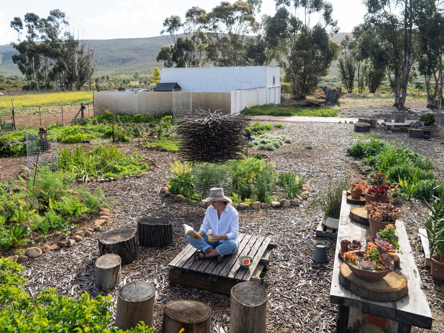 The Old School Mcgregor, Plant, Nature, Garden, Person