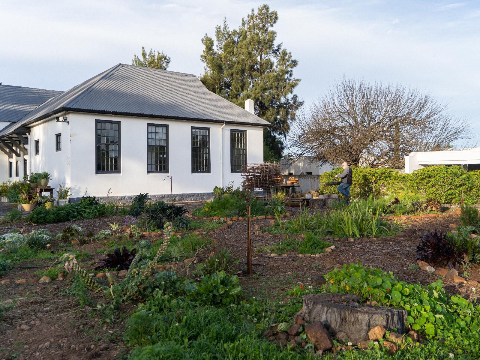 The Old School Mcgregor, House, Building, Architecture, Garden, Nature, Plant