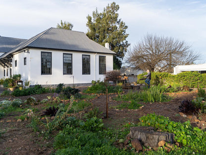 The Old School Mcgregor, House, Building, Architecture, Garden, Nature, Plant