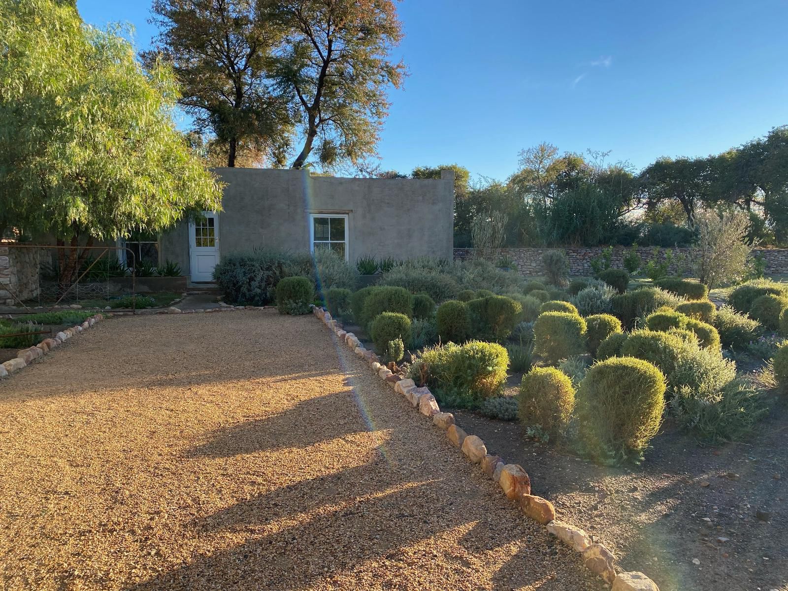 The Olive House Prince Albert Western Cape South Africa Complementary Colors, Cactus, Plant, Nature, Garden