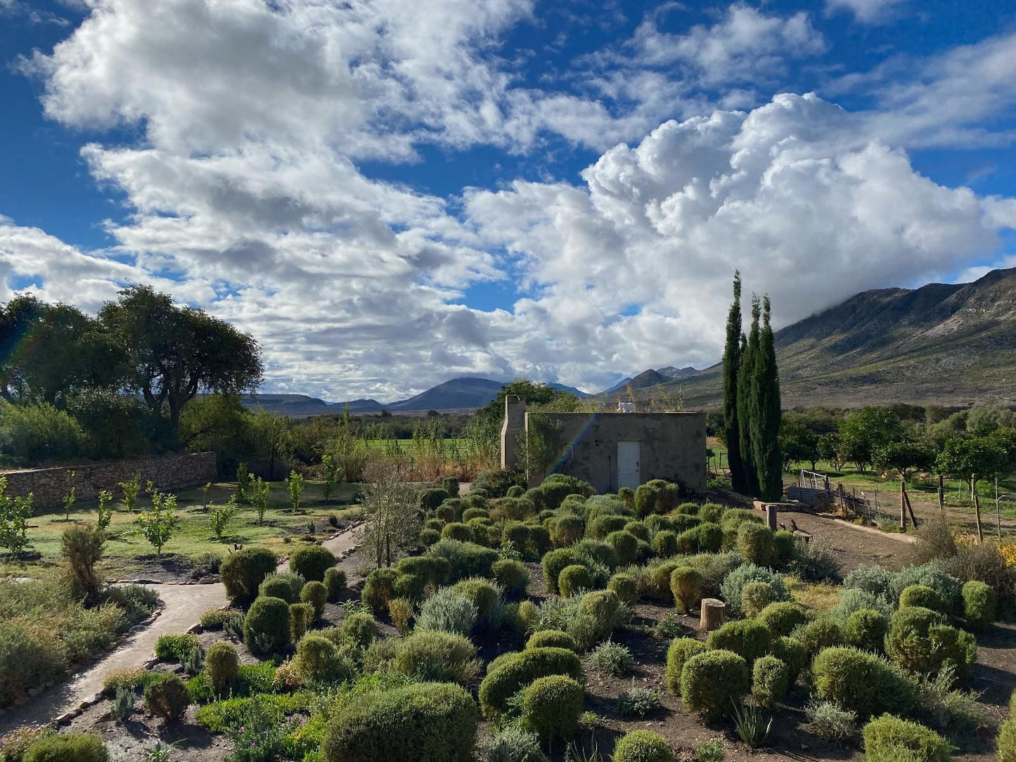 The Olive House Prince Albert Western Cape South Africa Cactus, Plant, Nature, Garden